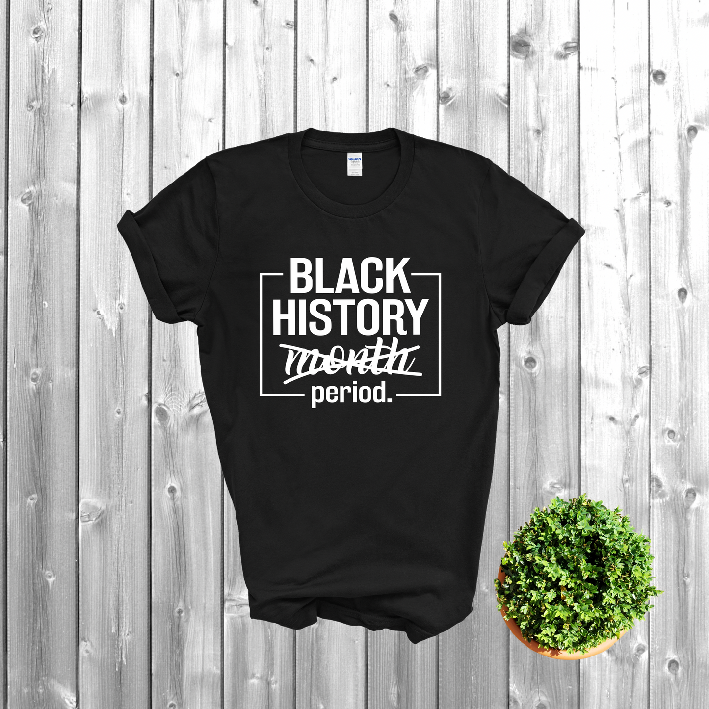 Black History Period